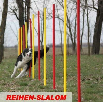 Fun Agility Agility-Übungs-Slalom-Set Rot/Gelb Flexible, Runde Stangen für Hunde