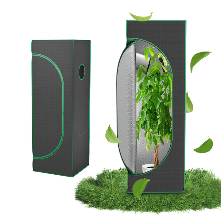 Aufun Grow Zelt, Grow Tent 40x40x120cm Growschrank für Pflanzen Zuchtzelt Gewächshaus Box Garten Anz
