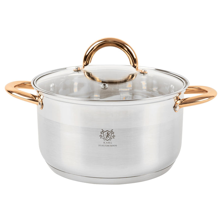 KARL HAUSMANN Kochtopf Induktion - 3L - Ø 20 cm - Edelstahl Topf mit Deckel für alle Herdarten Geeig