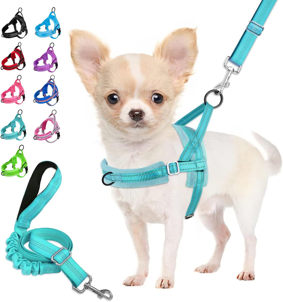 Eyein No-Pull Hundegeschirr mit Leine, Geschirr mit Weich Gepolstertes, Reflektierend, Verstellbares