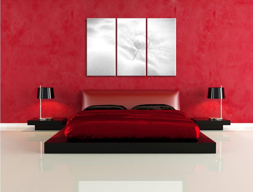 Pixxprint Tautropfen Pusteblume / 3-Teilig/Gesamtmass 120cm Leinwandbild bespannt auf Holzrahmen/Wan