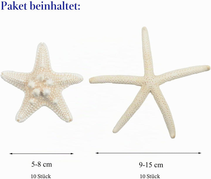 LLC Seestern, gemischte Seestern, natürliche, Bunte Muscheln, perfekt für Hochzeit, Strand, Motto-Pa