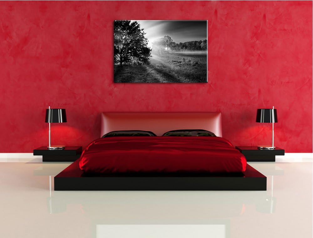 schöne Lichtung im Wald schwarz/weiss Format: 100x70 auf Leinwand, XXL riesige Bilder fertig gerahmt
