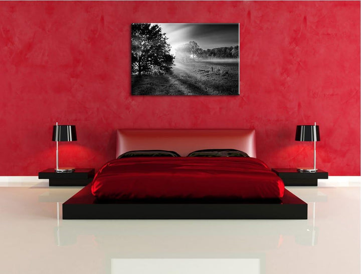 schöne Lichtung im Wald schwarz/weiss Format: 100x70 auf Leinwand, XXL riesige Bilder fertig gerahmt