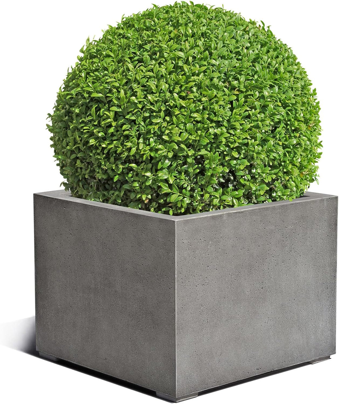ESCHBACH® Pflanzkübel Low Cube 60 Beton Grau Quadratisch * 60 x 60 x 40 cm * 10 Jahre Garantie 60x60