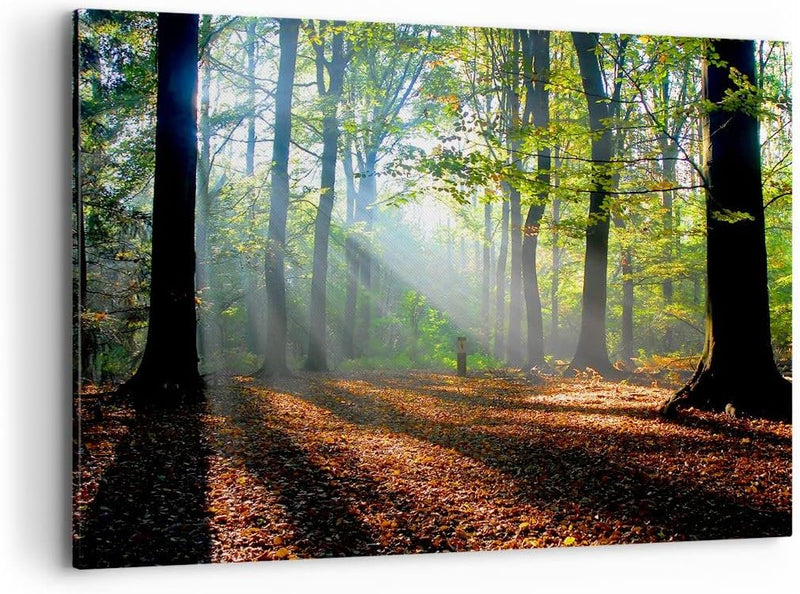 Bilder auf Leinwand 100x70cm Leinwandbild mit Rahmen Wald Blätter Sonne Gross Wanddeko Bild Schlafzi