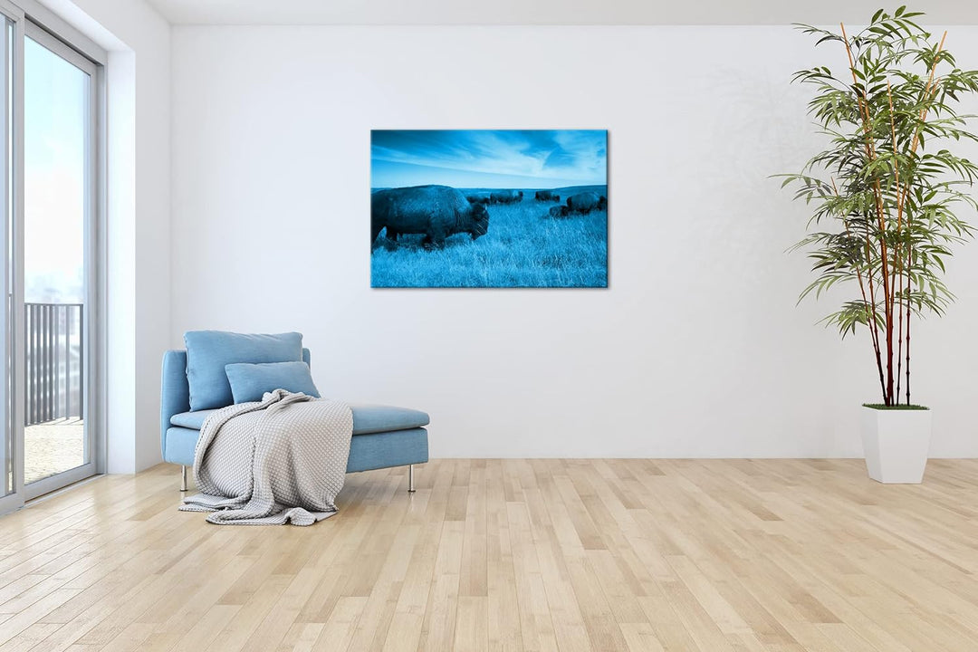 Bison Herde in der Steppe Format 80x60 Effekt: Monocrome Blau als Leinwandbild, Motiv fertig gerahmt