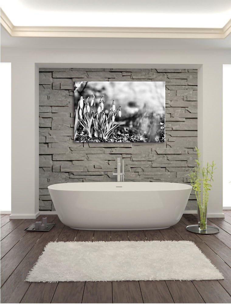 Pixxprint Schneeglöckchen am Waldrand als Leinwandbild/Grösse: 100x70 cm/Wandbild/Kunstdruck/fertig