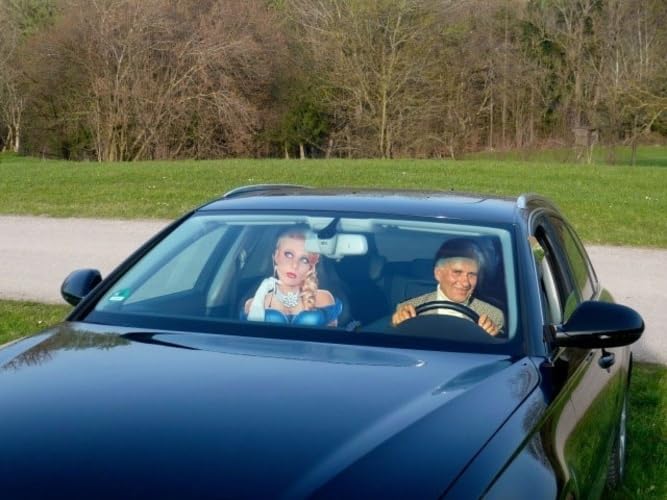 Autositzbezug Wikinger Leibwächter Viking Beifahrer-Schonbezug Auto-Sitzbezug Fotodruck Neue Motive