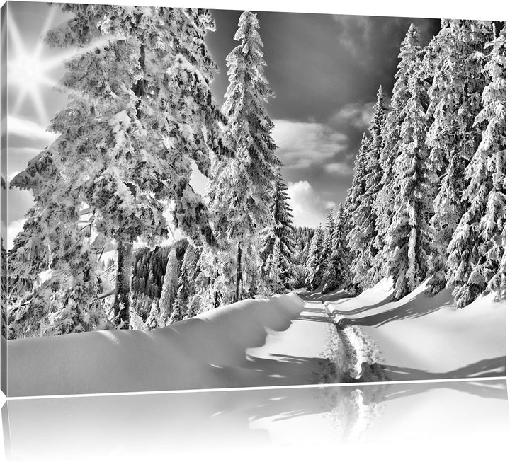 Pixxprint Monocrome, Winterlandschaft Bäume, Format: 100x70 auf Leinwand, 100x70