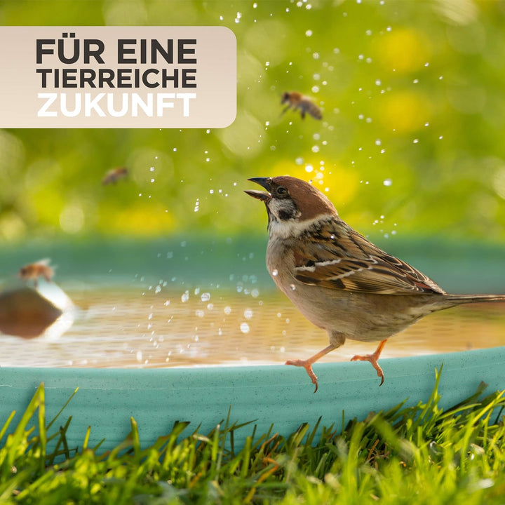 JoDaK Vogeltränke und Insektentränke (smaragdgrün) Vogelbad stehend gross, Kunststoff frostsicher un