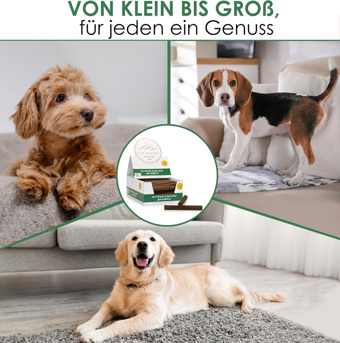 123... Hund dabei! - Kaurollen XXL 50er Tray (Hirsch) - Dentalkaurollen - Getreidefrei - Vorteilspak