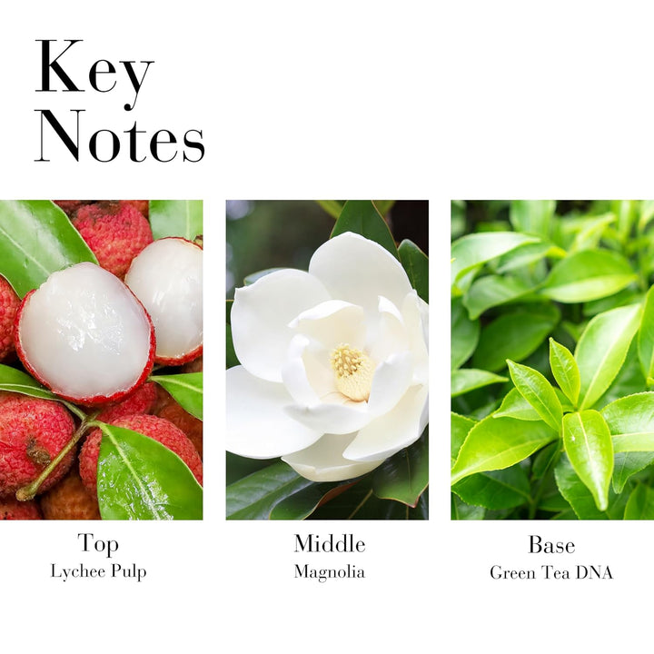 Elizabeth Arden Green Tea Lychee Lime Eau de Toilette Spray Zitrus 100.00 ml (1er Pack), Zitrus 100.