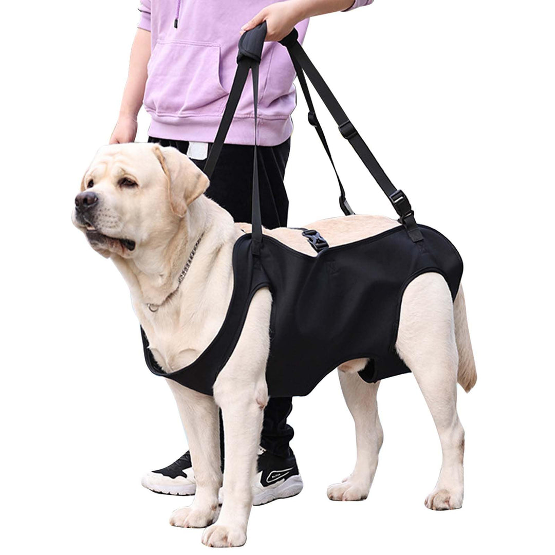 Hundeliftgeschirr, Haustierunterstützung Hund Lift Support für Hunde, Rehabilitation Geschirr Mobili