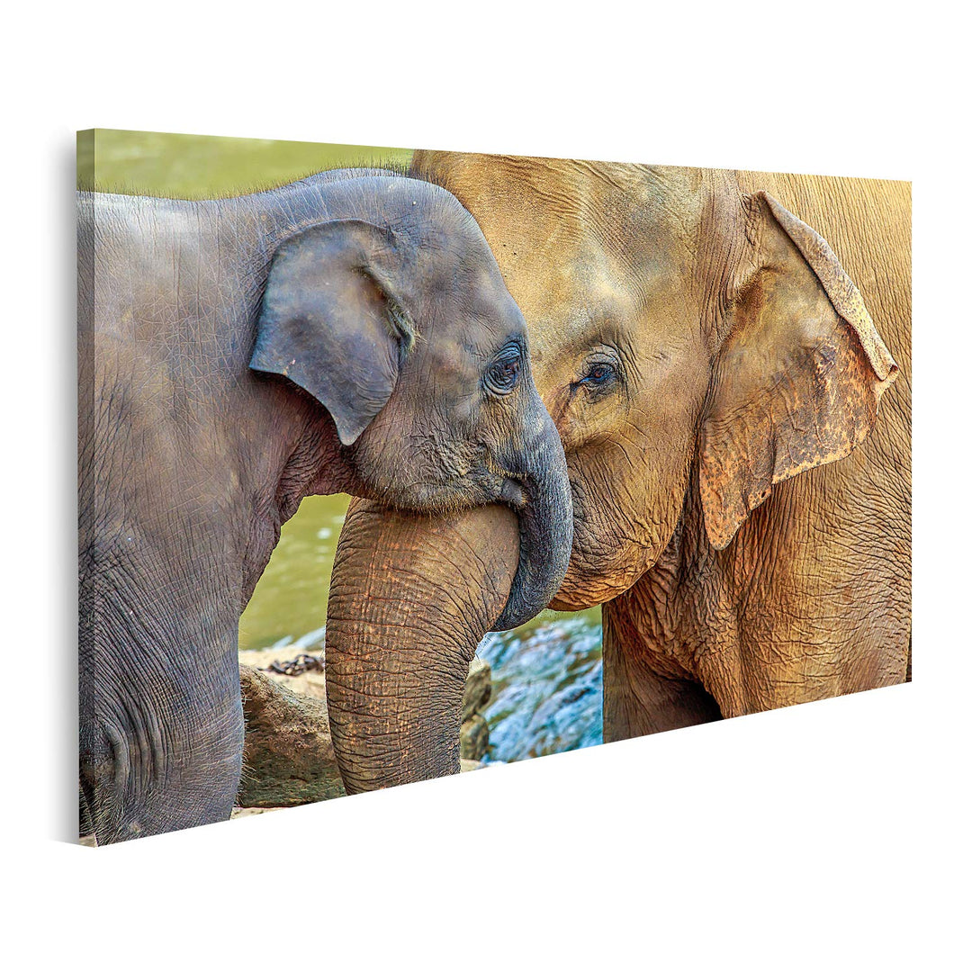 islandburner Bild auf Leinwand Elefantenbaby Elefant Kuschelnd Bilder Wandbilder Poster Leinwand 100