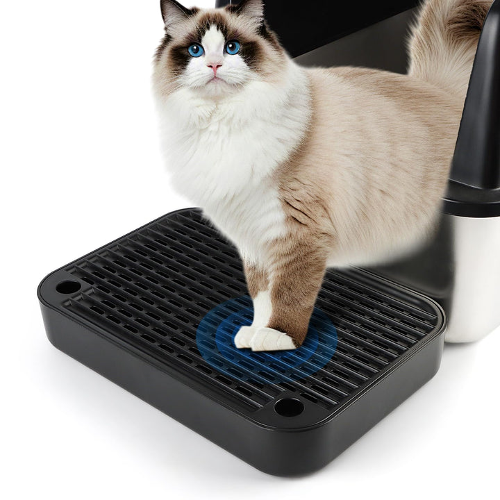 Katzenstreu Rampe, Katzentreppe/Katzentoilettenrampe/Katzenfänger Litter Trapper mit Filterfunktion,