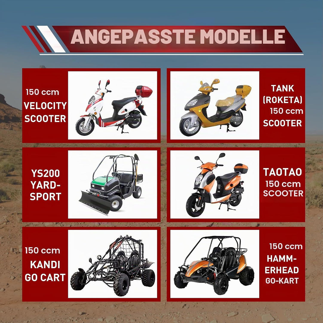 WOOSTAR Komplette Variatorrollen Baugruppe Ersatz für 4 Takt GY6 125ccm 150ccm Roller Go Kart 152QMI