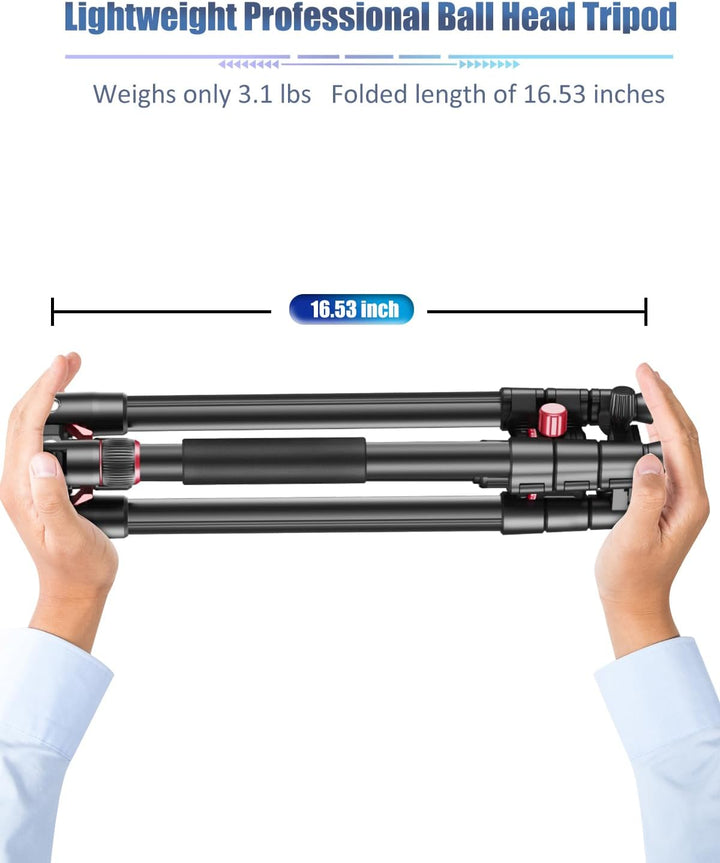 CAMBOFOTO 173cm Professionelles Kamera-Stativ, Tragbares Stativ 173 cm/Einbein 180 cm mit 360-Grad-K