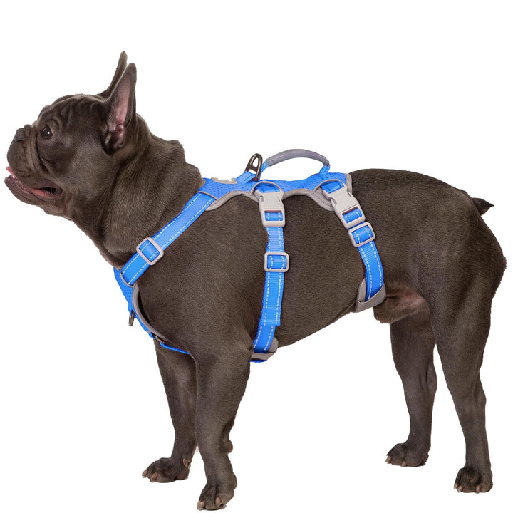 Huntboo Sicherheitsgeschirr Hund Ausbruchsicher, Panikgeschirr für Hunde, Reflektierendes Geschirr m
