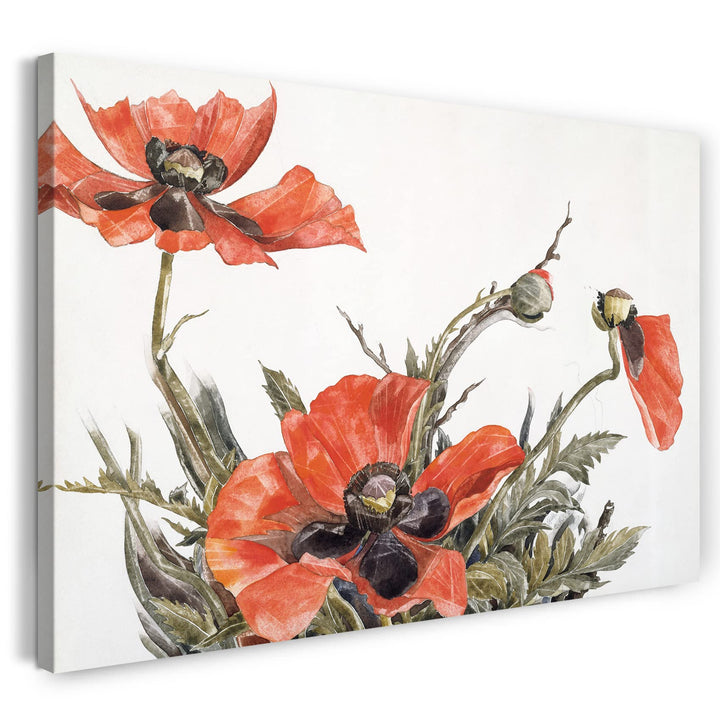 Printed Paintings Leinwand (80x60cm): Charles Demuth - Rote Mohnblumen 80x60 cm, 80x60 cm