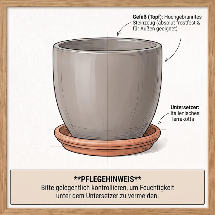 Teramico Blumentopf mit Untersetzer Keramik Pflanztopf Set (Anthrazit/TC) Anthrazit / Tc, Anthrazit