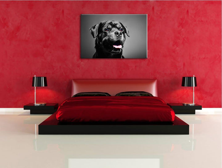 aufmerksamer Rottweiler schwarz/weiss Format: 100x70 auf Leinwand, XXL riesige Bilder fertig gerahmt
