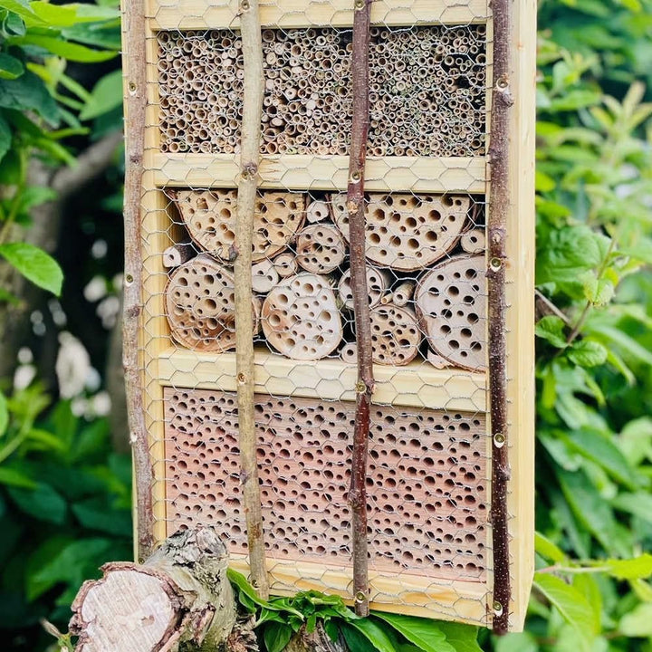 DARLUX handgefertigtes, hochwertiges Holz Insektenhotel XL Wildbienen-Nisthilfe Insektenhaus Natur/G