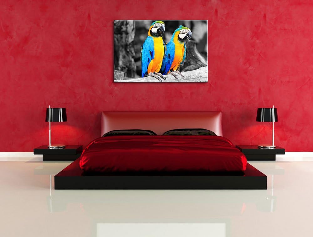 Zwei Papageien als Leinwandbild/Grösse: 100x70 / Wandbild/Kunstdruck/fertig bespannt, 100x70