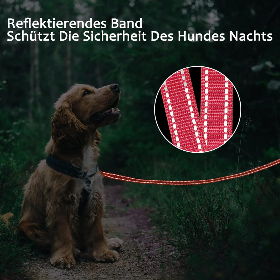 Demigreat Schleppleine für Hunde, 3m / 5m / 10m / 15m / 20m Robuste Lange Hundeleine Reflektierend T