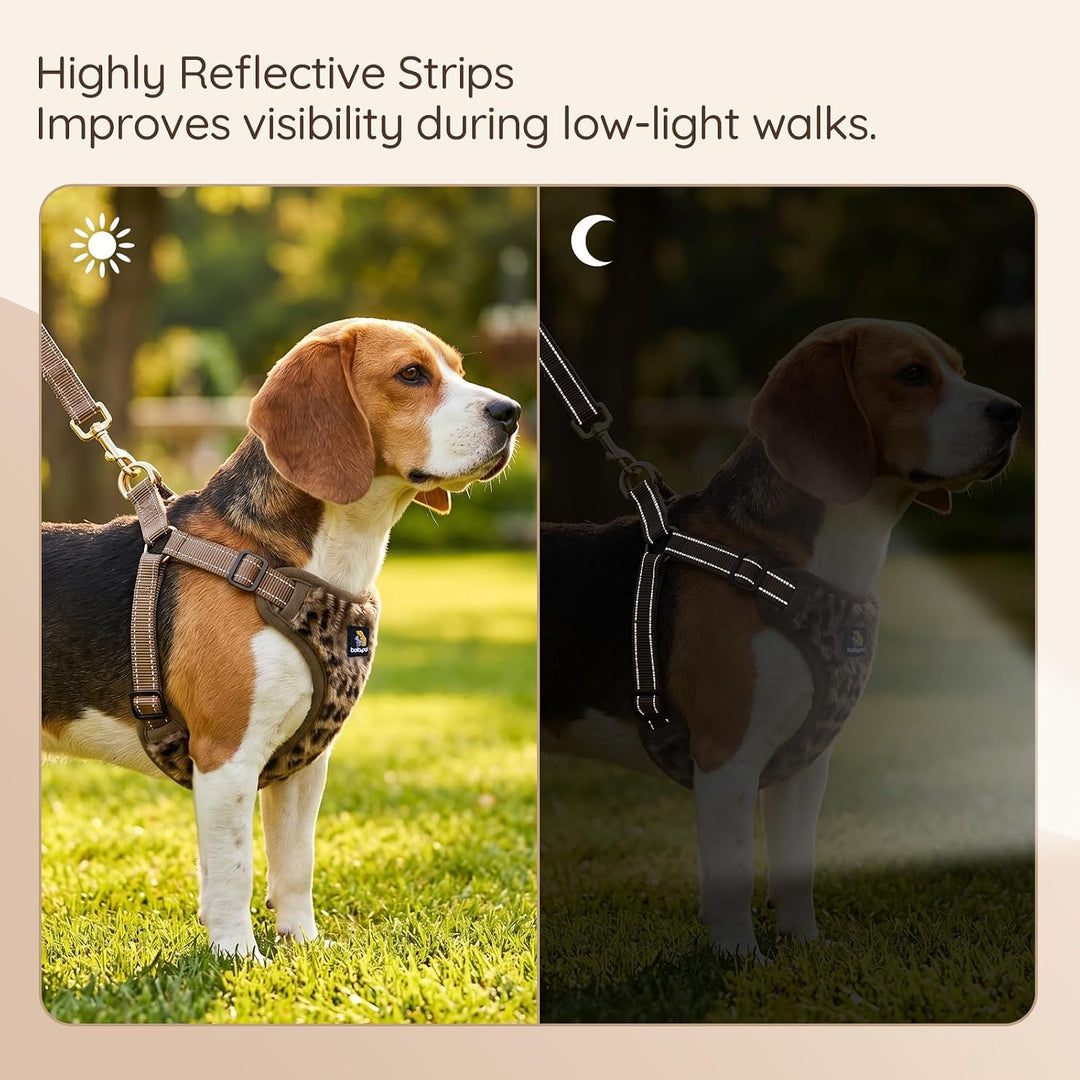 BELLA &amp; PAL Hundegeschirr mit Leine Set, Step-in Geschirr für Welpen/kleine/mittelgrosse Hunde, weic