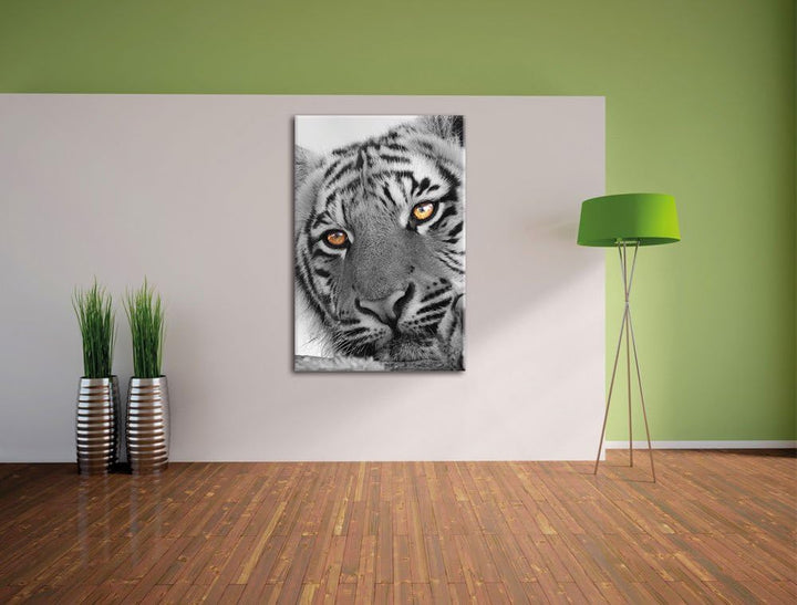 Pixxprint entspannter Tiger schwarz/weiss als Leinwandbild/Grösse: 100x70 cm/Wandbild/Kunstdruck/fer