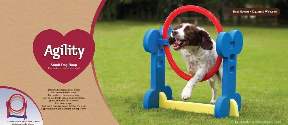 Rosewood 02497 Agility-Ring für kleine Hunde 1 Stück (1er Pack), 1 Stück (1er Pack)