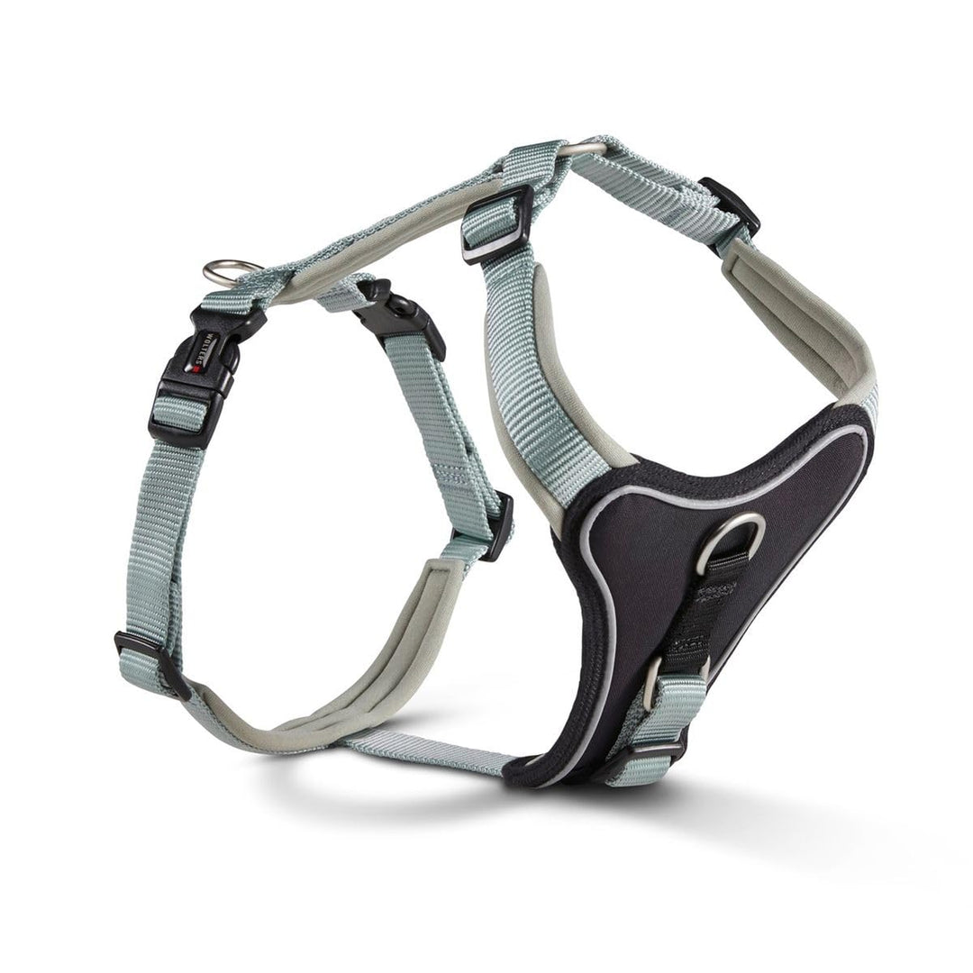 Wolters Geschirr Professional Comfort, Grösse:27-32 cm, Farbe:Salbei grün 27 - 32 cm salbei grün, 27