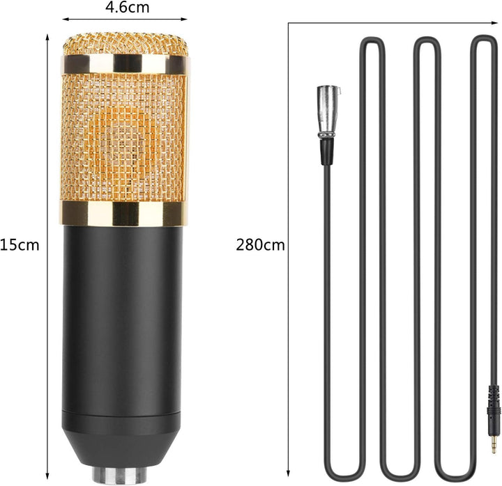 Profi Studio Kondensator Mikrofon Set, Micro mit Arm Ständer Filter Foam Kit USB Adapter Mikrofon Se