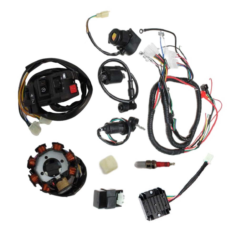 Riloer Kompletter elektrischer Kabelbaumsatz für ATV Quad 150/200/250 DC, Kabelbaum, Webstuhlkabel C