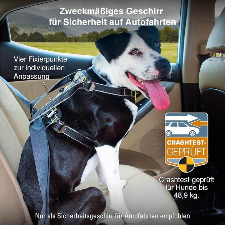 Kurgo Impact Hunde-Autogeschirr, Crashtest-geprüft für mehr Sicherheit, Für Hunde von 34-47 kg geeig