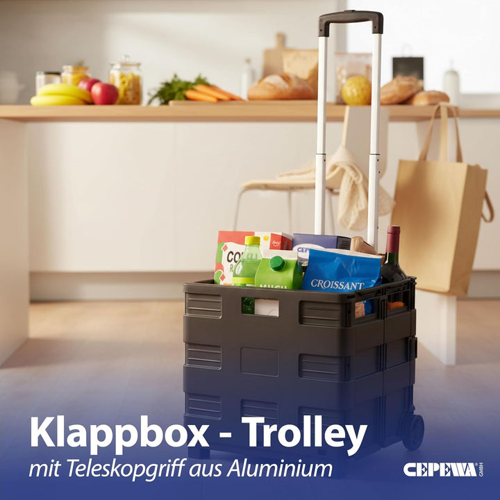 Klappbox Trolley | schwarz 42x40x37cm Kunststoff Aluminium | Klappkiste belastbar bis 20 Kg | Transp