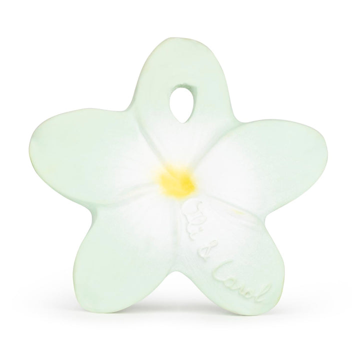 Chewy - Bali la fleur