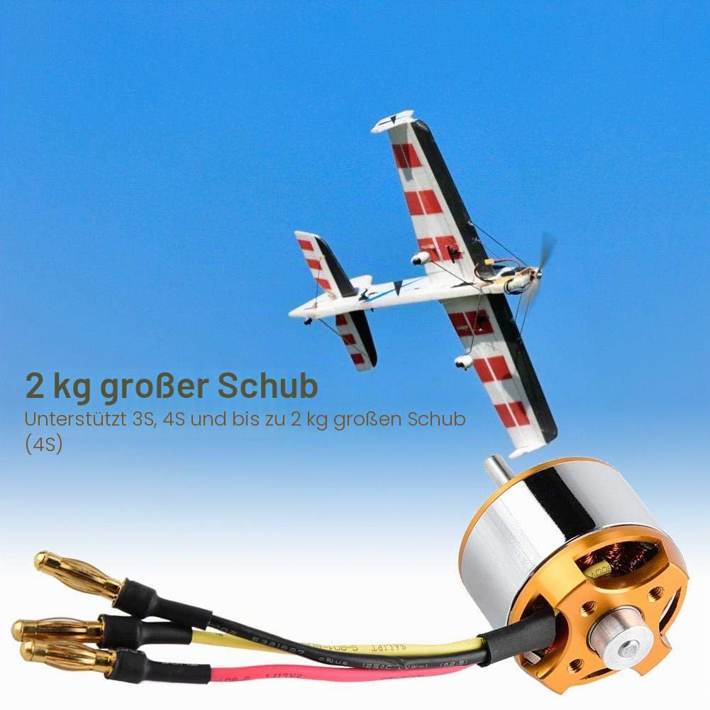 Dilwe RC-Motor, Motor-2814 1000 / 1400KV 2kg Schub 3-4S Motor für Starrflügel-RC-Flugzeug(1000 kV),