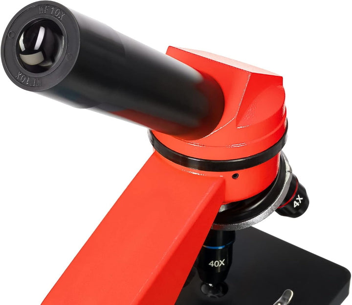 Levenhuk Rainbow 2L Orange Kinder Heimlabor STEM-Set mit Tragbarem Biologischen Mikroskop mit 400-fa
