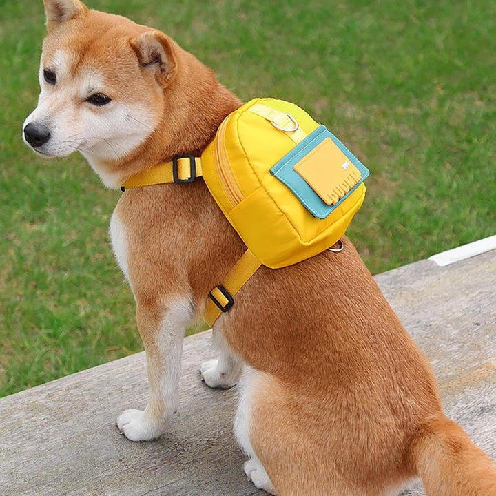Rucksack für Hunde, Hunden-Rucksack | Schultasche für Welpen, wasserdichtes Twill-Gewebe, Design des
