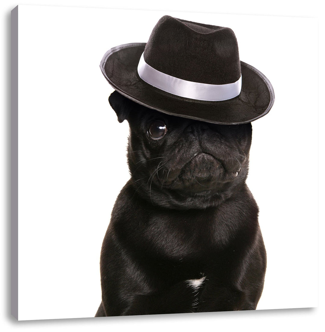 Mops mit Mafia Hut, Format: 70x70 auf Leinwand, XXL riesige Bilder fertig gerahmt mit Keilrahmen, Ku