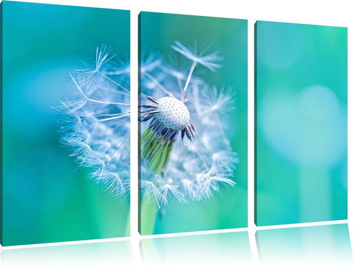 Pixxprint Schöner weisser Löwenzahn als Leinwandbild - Grösse: 3-Teilig (120x80cm) - Wandbild - Kuns