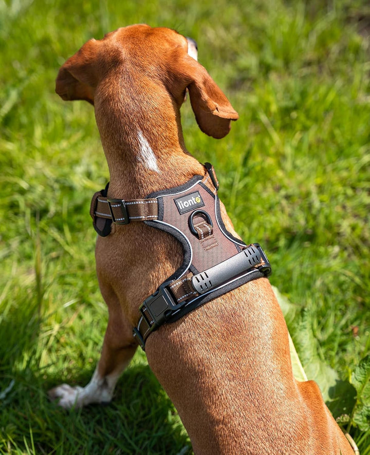 lionto Hundegeschirr gepolstert aus weichem Nylon, Grösse S, reflektierendes Anti Zug Geschirr für H