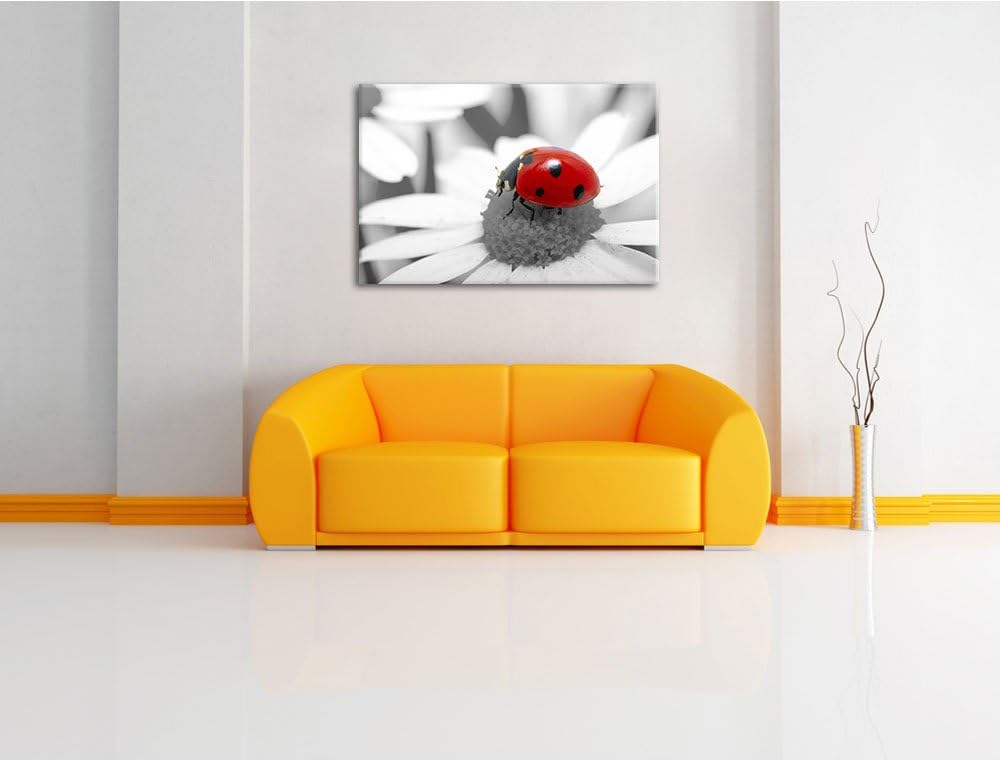 süsser Marienkäfer auf Gänseblume schwarz/weiss Format: 100x70 auf Leinwand, XXL riesige Bilder fert