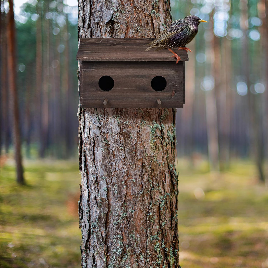 Relaxdays Nistkasten für Stare, natürliches Tannenholz, 2X Einflugloch 5 cm, Sitzstange, Vogelhaus z