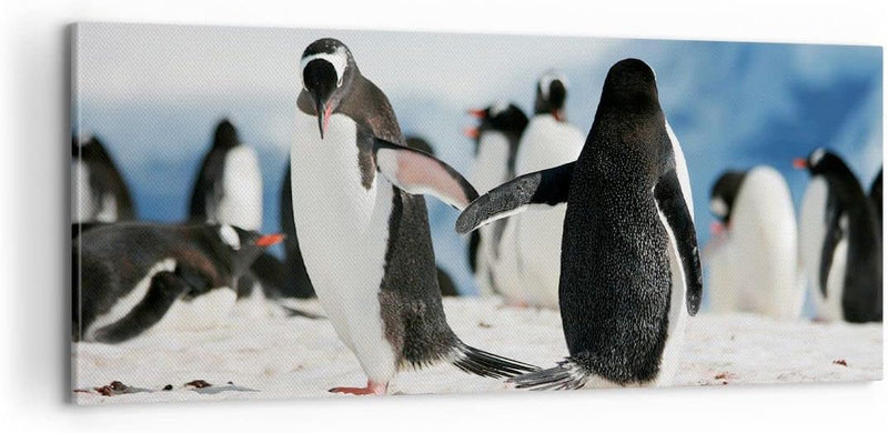 Panorama Bilder auf Leinwand 100x40cm Leinwandbild Pinguine Winter Natur Schnee Gross Wanddeko Bild