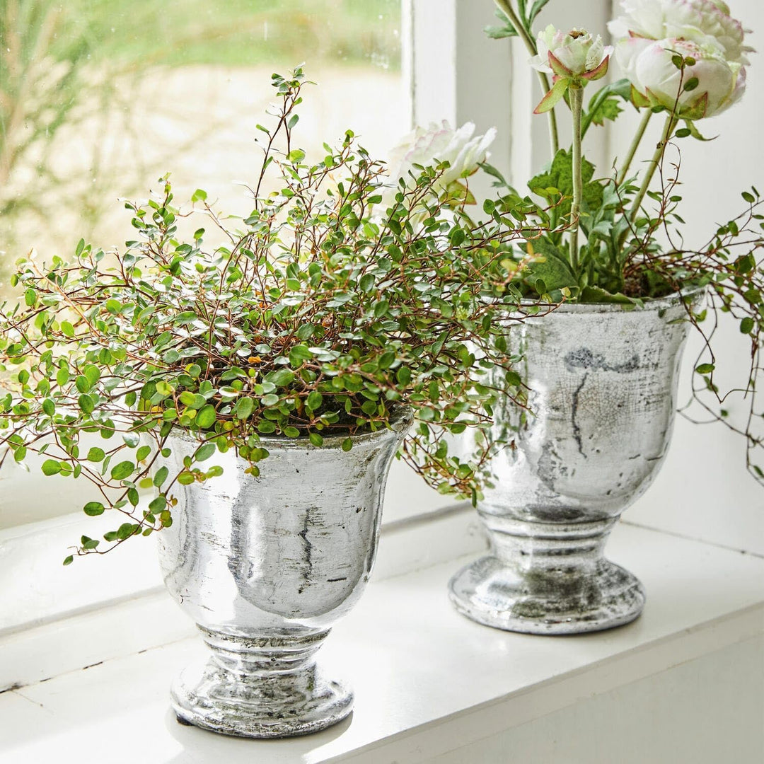Loberon® Übertopf Set Banon | Blumentopf Set Aus Terrakotta | Ideal Für Zimmerpflanzen &amp; Kräuter | I