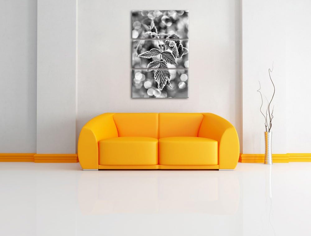 Pixxprint Monocrome, Blätter im Winter Morgenfrost 3-Teiler Leinwandbild 120x80 Bild auf Leinwand