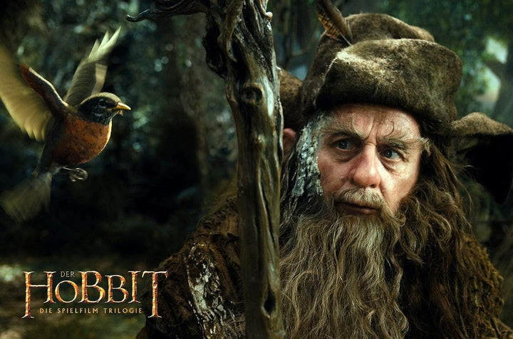 Der Hobbit: Die Spielfilm Trilogie Extended Edition [Blu-ray], Blu-ray